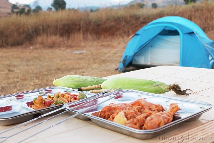 BBQ- the wild way