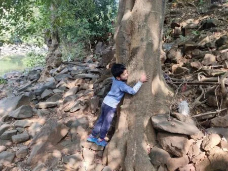 hugging a tree