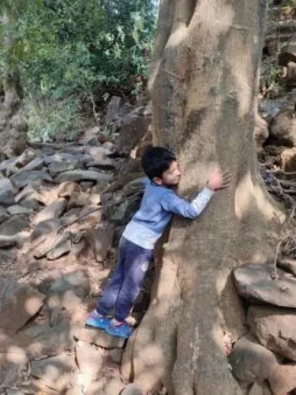 hugging a tree hugging a tree